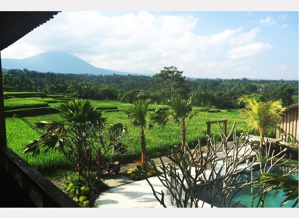 Ti Amo Bali Hotel Jatiluwih Ngoại thất bức ảnh