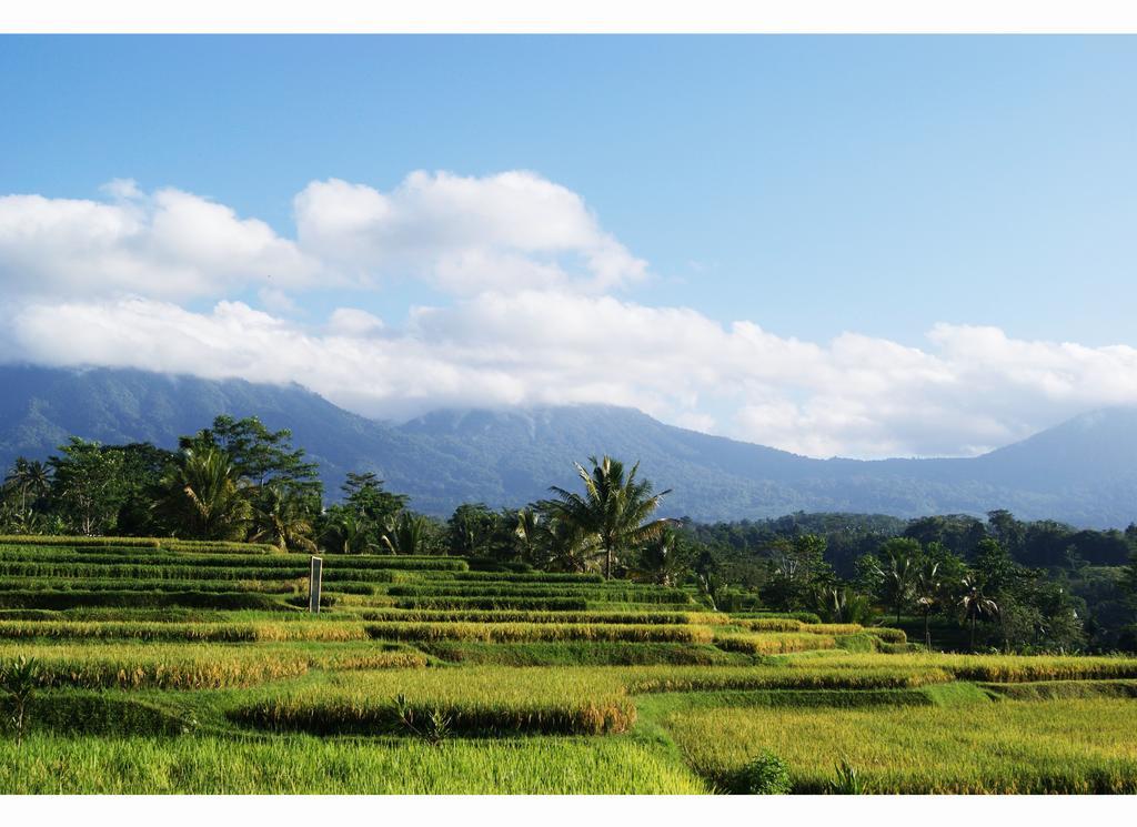 Ti Amo Bali Hotel Jatiluwih Phòng bức ảnh
