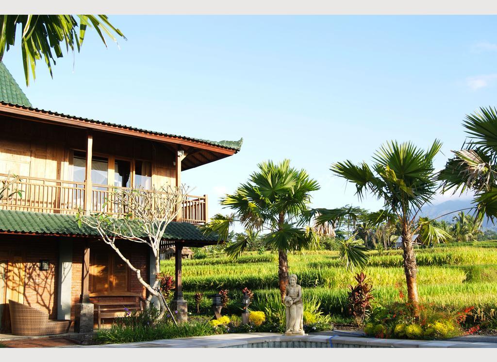 Ti Amo Bali Hotel Jatiluwih Phòng bức ảnh