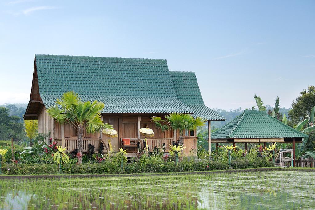 Ti Amo Bali Hotel Jatiluwih Ngoại thất bức ảnh