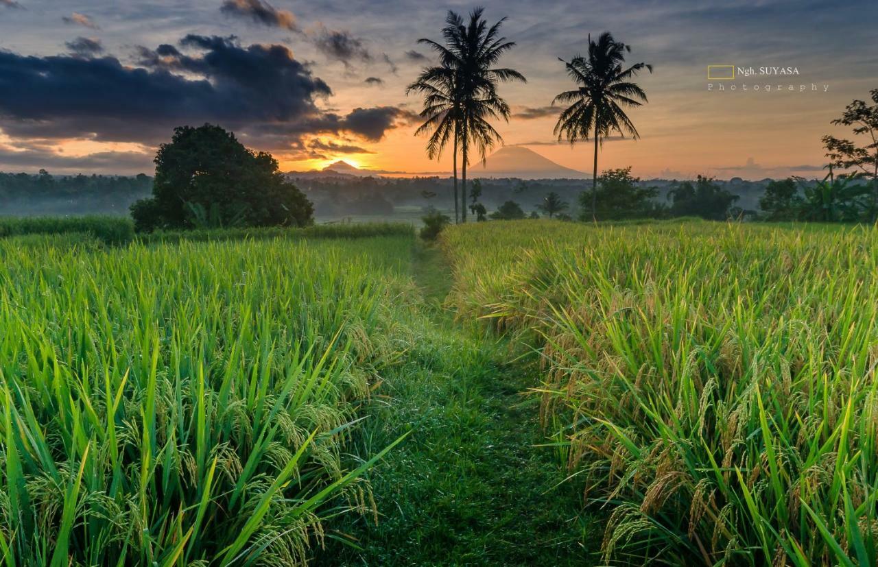 Ti Amo Bali Hotel Jatiluwih Ngoại thất bức ảnh