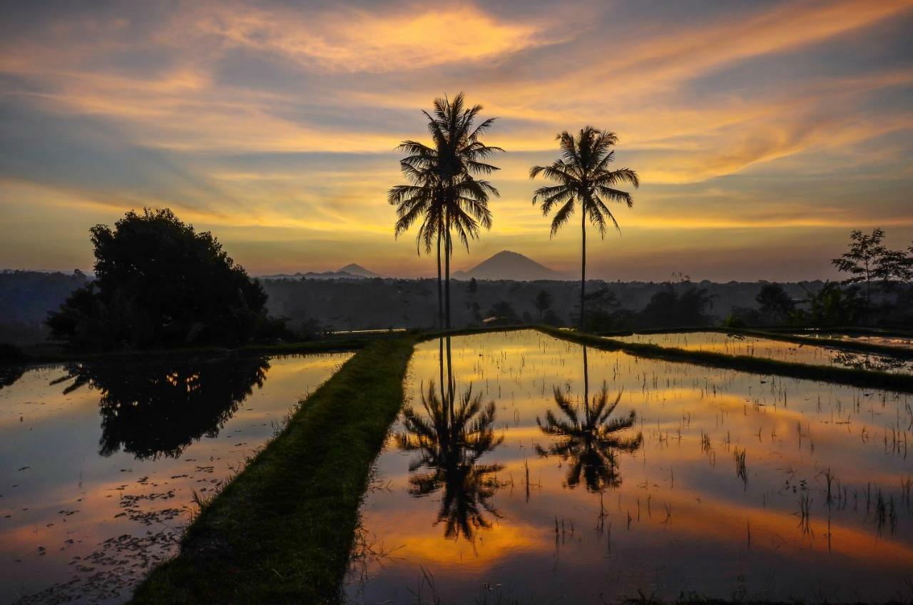 Ti Amo Bali Hotel Jatiluwih Ngoại thất bức ảnh