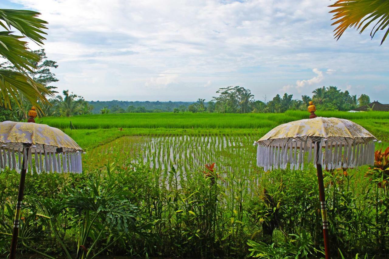 Ti Amo Bali Hotel Jatiluwih Ngoại thất bức ảnh